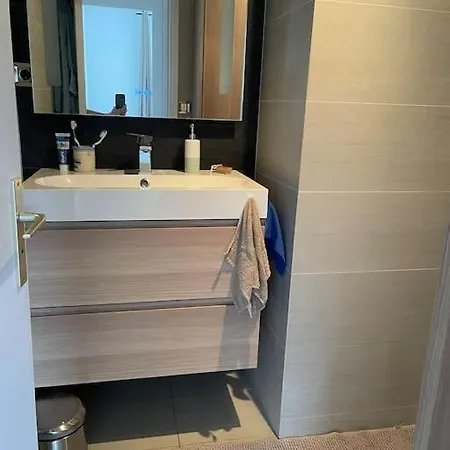 Apartamento A 150m Du Lac- Plage De L'imperial Annecy
